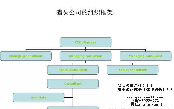 獵頭公司的組成